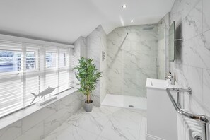 Shower, hair dryer, towels