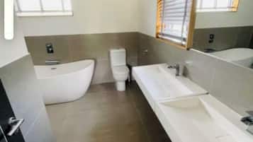 Shower, towels, toilet paper