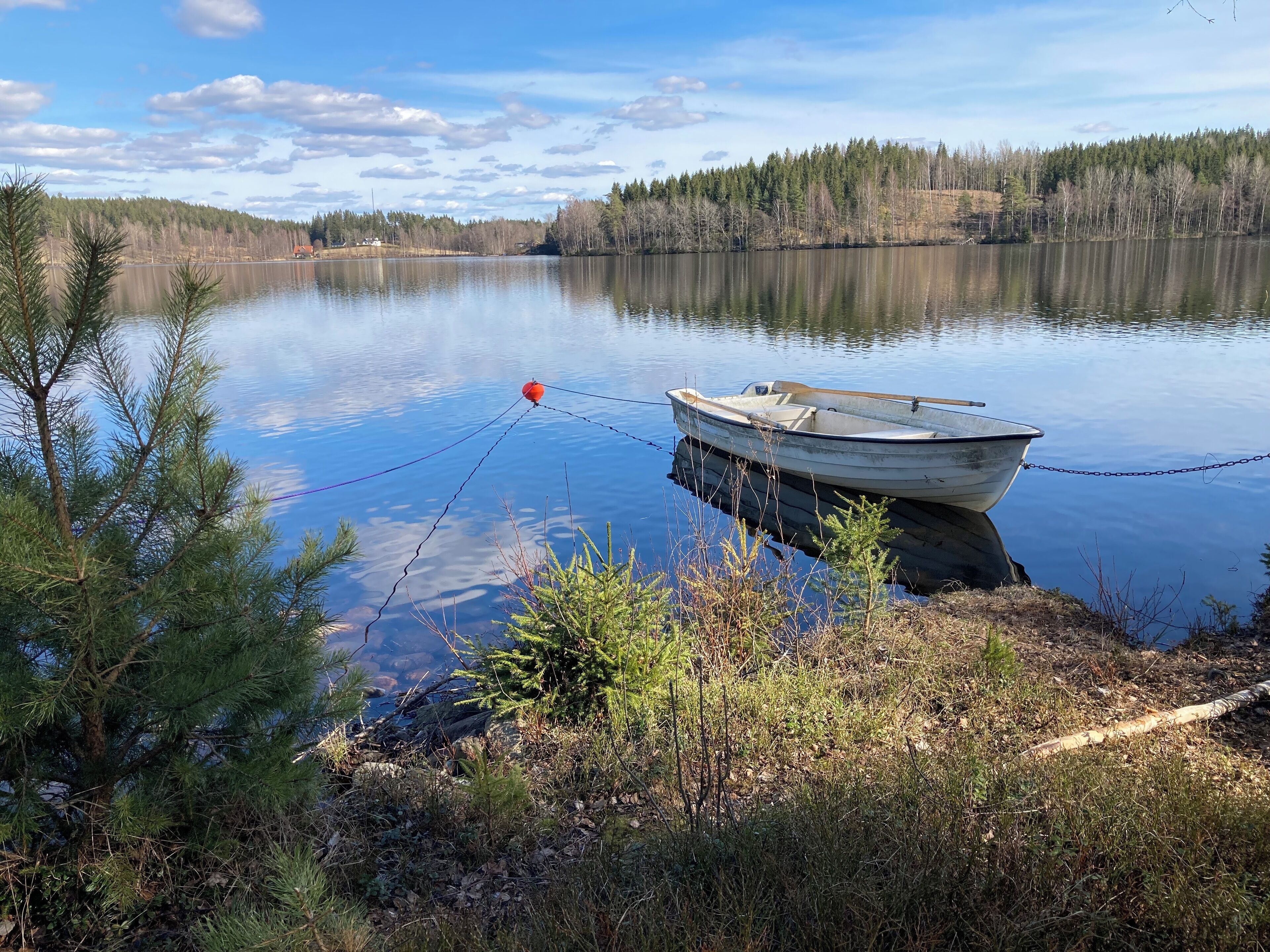 A boat tied to a dock with a red buoy, surrounded by trees and calm water.