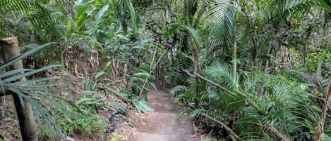 Área da propriedade