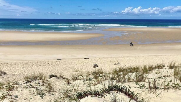 A beach with sand dunes and a person riding a bicycle.