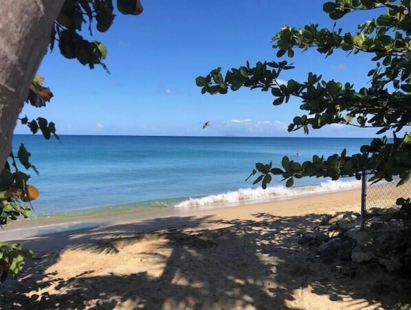 Playa