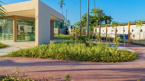 Un edificio moderno con fachada de vidrio, un sendero pavimentado y una zona ajardinada con palmeras.
