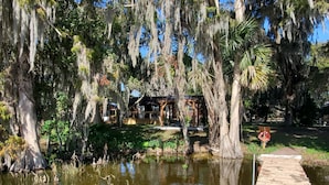 A wooden dock extending into a pond with lily pads, surrounded by trees with Spanish moss. - Lakefront Magic Wilderness Cabin (Leesburg)