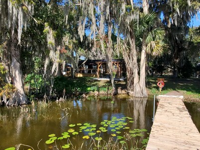 Lakefront Magic Wilderness Cabin