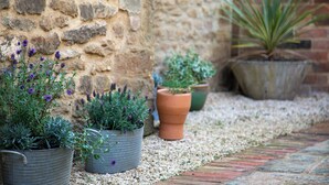 Potted plants in front of a stone wall.