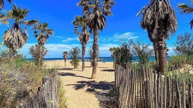 Ein sandiger Strandweg, gesäumt von Palmen und einem hölzernen Zaun, der zum Meer führt.