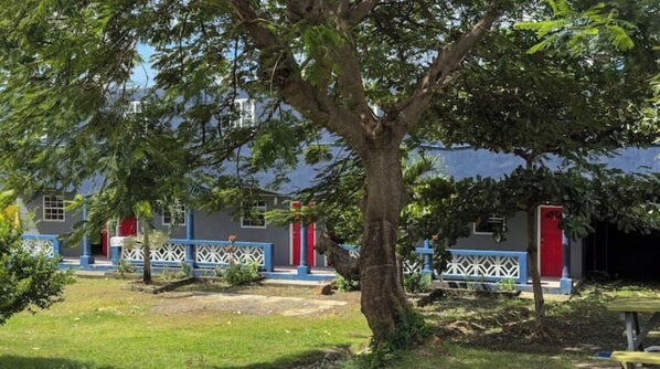 Stroll through the serene grounds, surrounded by a majestic tree and a charming building with a red door.