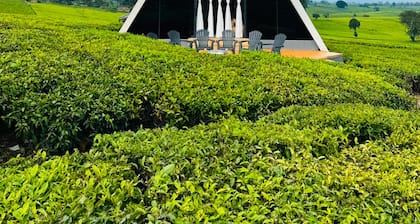 Unique 3-bedroom Tea cabin with WiFi in Nairobi