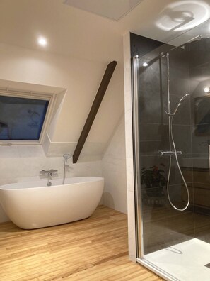 Shower, hair dryer