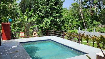 A rectangular pool with a tiled edge, surrounded by a white fence, and shaded by palm trees and other tropical vegetation.