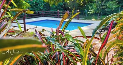 Tropical Apartments Tobago : Palm Apt 2