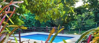 Tropical Apartments Tobago : Palm Apt 2