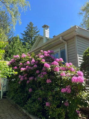 Exterior detail - Blueberry House, Victorian Elegance Meets Modern Comfort (Delancey)