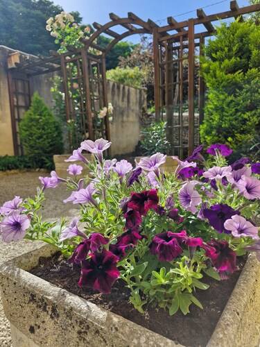 Appartement avec cour privative et parking en centre-ville de Sarlat