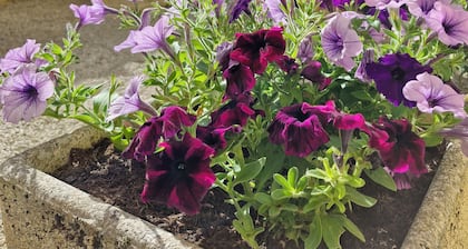 Appartement avec cour privative et parking en centre-ville de Sarlat