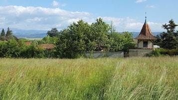 A rural landscape with a church featuring a conical roof and a bell tower, surrounded by lush greenery and fields.