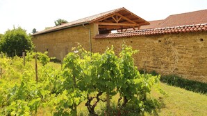 A vineyard with rows of grapevines in front of a stone building with a tiled roof. - La ferme de Berlioz (La Cote-Saint-Andre)
