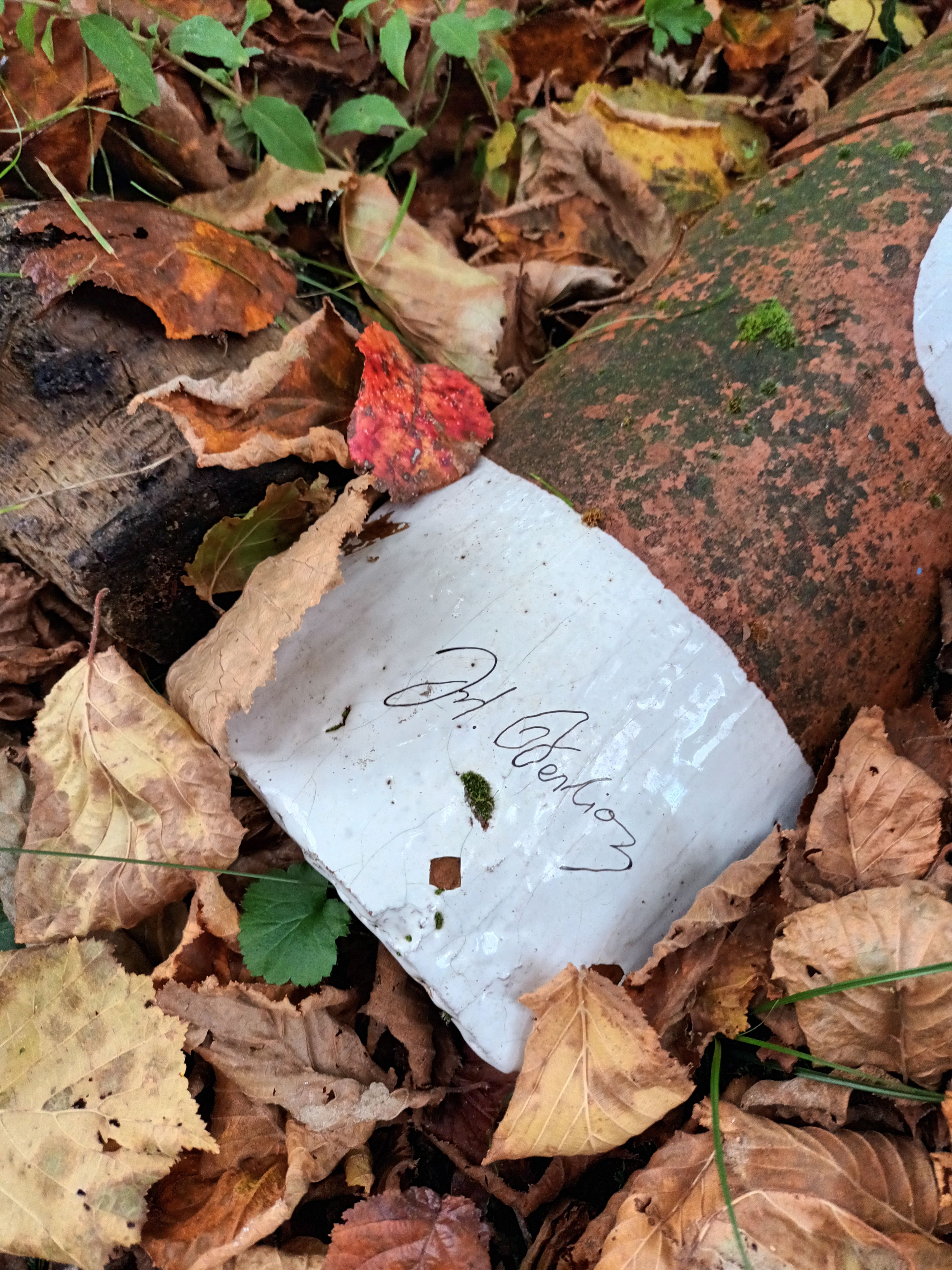 A white object with a signature on it, surrounded by dry leaves and a rusty metal surface.
