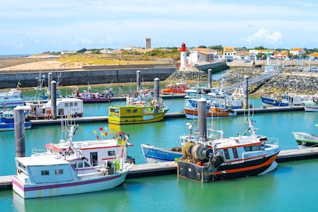 Marina. Les Trémières