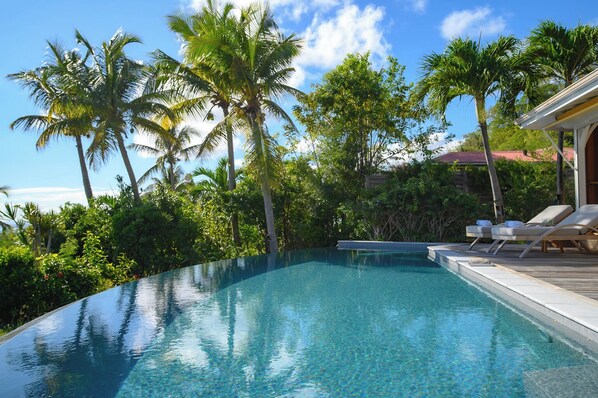 A curved infinity pool with clear blue water, surrounded by lush greenery and palm trees.