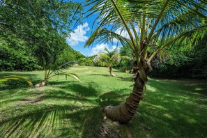 Property grounds - Villa Bwacajou 4-Star rated with private pool and view of the sea and Dominique (Grand-Bourg)