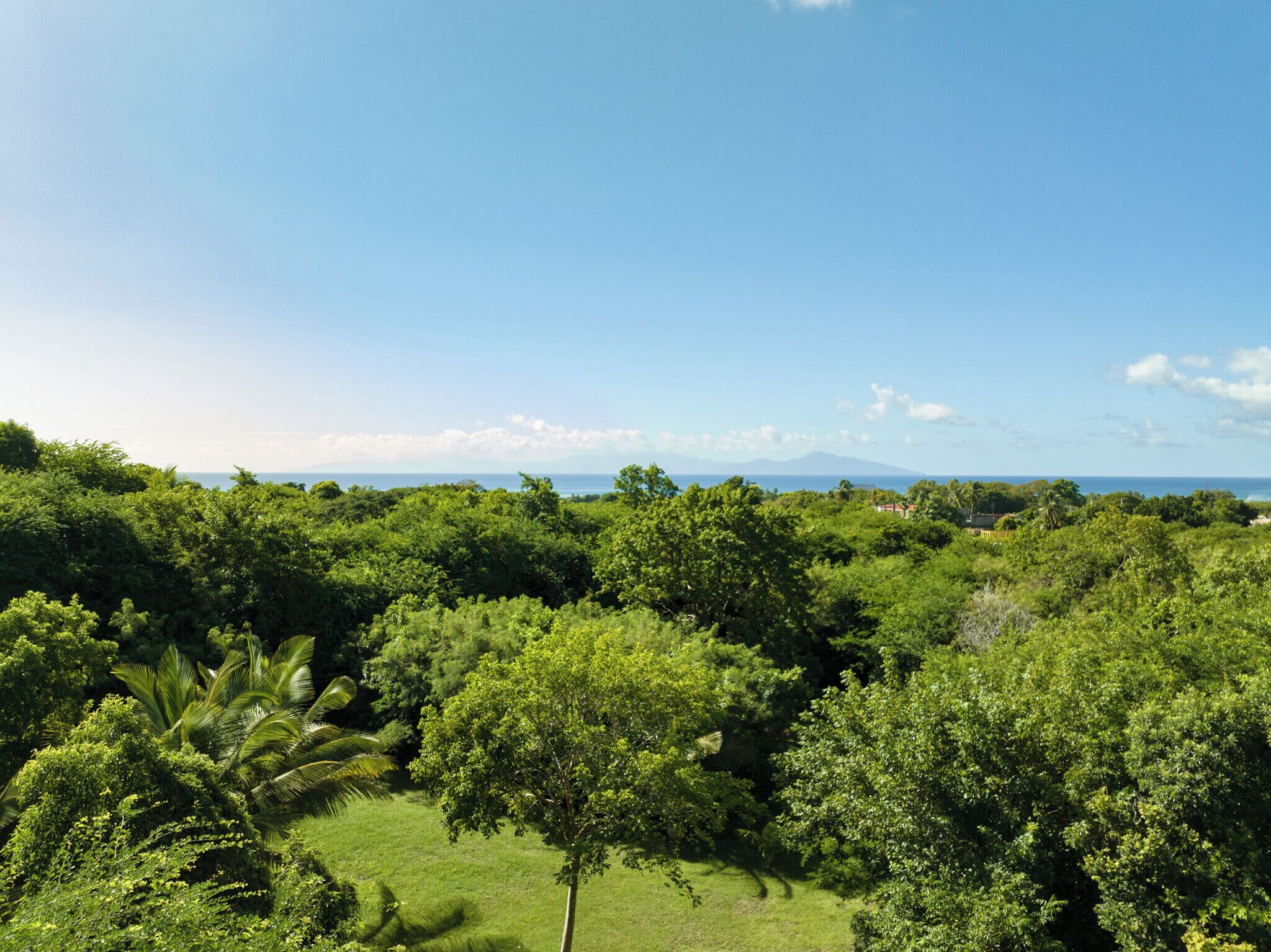 Un paisaje verde exuberante con vegetación densa y una vista despejada del océano y montañas distantes.