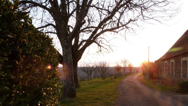 A rural road with a large tree on the left and a stone building on the right. - Country house in the heart of Périgord Noir in Rouffignac  (Rouffignac-Saint-Cernin-de-Reilhac)