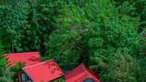 A remote lodge with two cabins, surrounded by dense forest. - Discover Arenal Romantic Cabin Near La Fortuna – Private Hot Tub for Couples (Monterrey, La Fortuna)