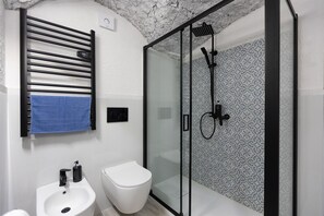 Shower, hair dryer, bidet, towels
