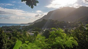 A coastal town with a mountain backdrop, dense greenery, and a clear sky.