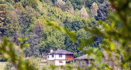 Authentic country house in the heart of the Balkans