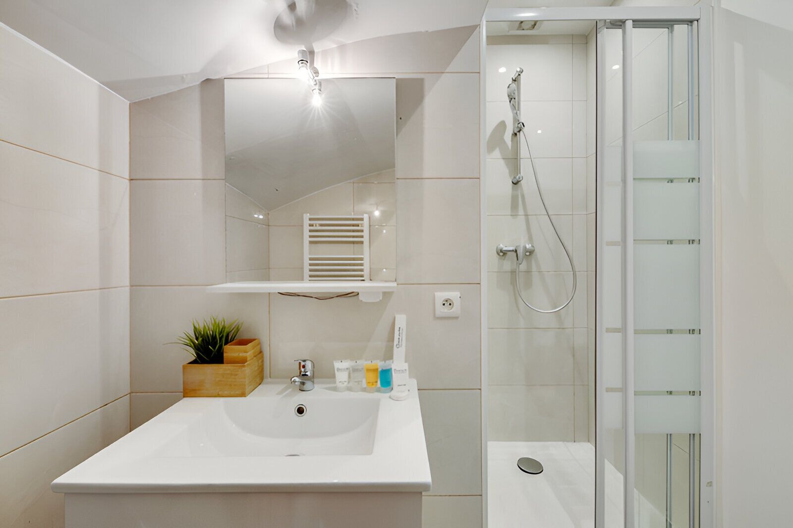 Shower, hair dryer, towels