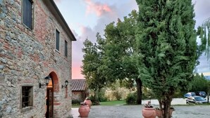 A stone building with a brick facade, a paved entrance, and a garden with potted plants and a tall tree.