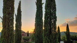 A pathway flanked by tall cypress trees leading to a building with a tiled roof.