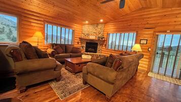 TV connectée, cheminée, lecteur de DVD, livres