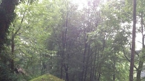 Unclassified image, 5 of 44, button - Room-charming Vienna Retreat With Garden (Vienna)