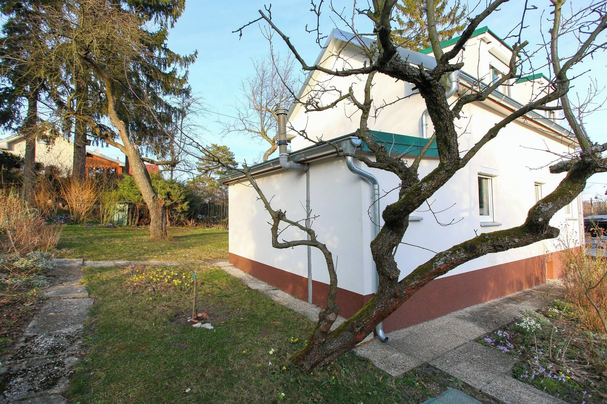 Felles sovesal, 1 soverom, røyk, terrasse | Overnattingsstedets uteområder