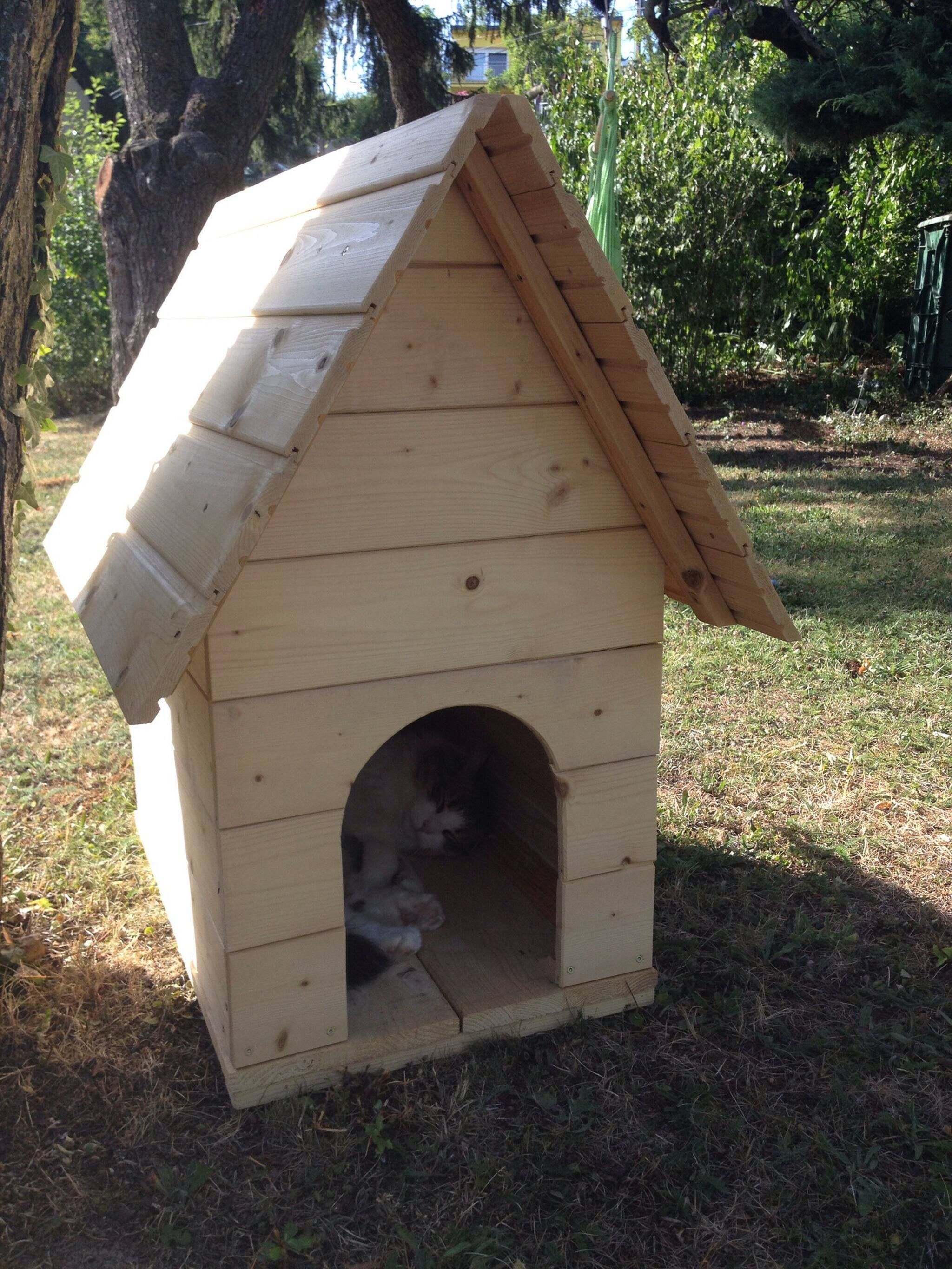 Dormitorio compartido, 1 habitación, fumadores, patio | Jardines del alojamiento