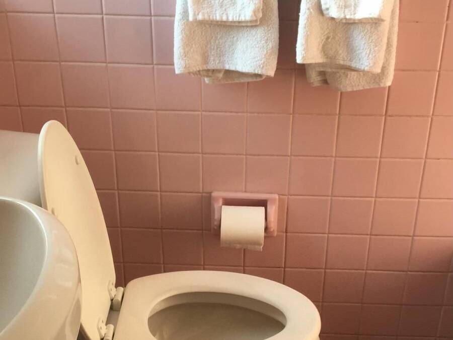 Standard-Einzelzimmer | Badezimmer | Handtücher, Seife, Shampoo, Toilettenpapier