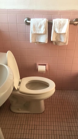 Standard Single Room | Bathroom | Towels, soap, shampoo, toilet paper. Dorchester Motel