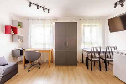 Modern apartment with Netflix access