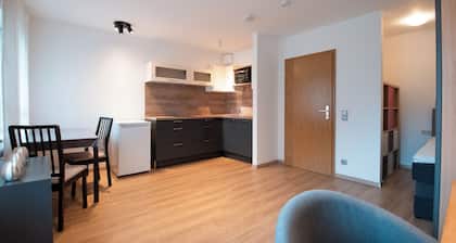 Modern apartment with Netflix access