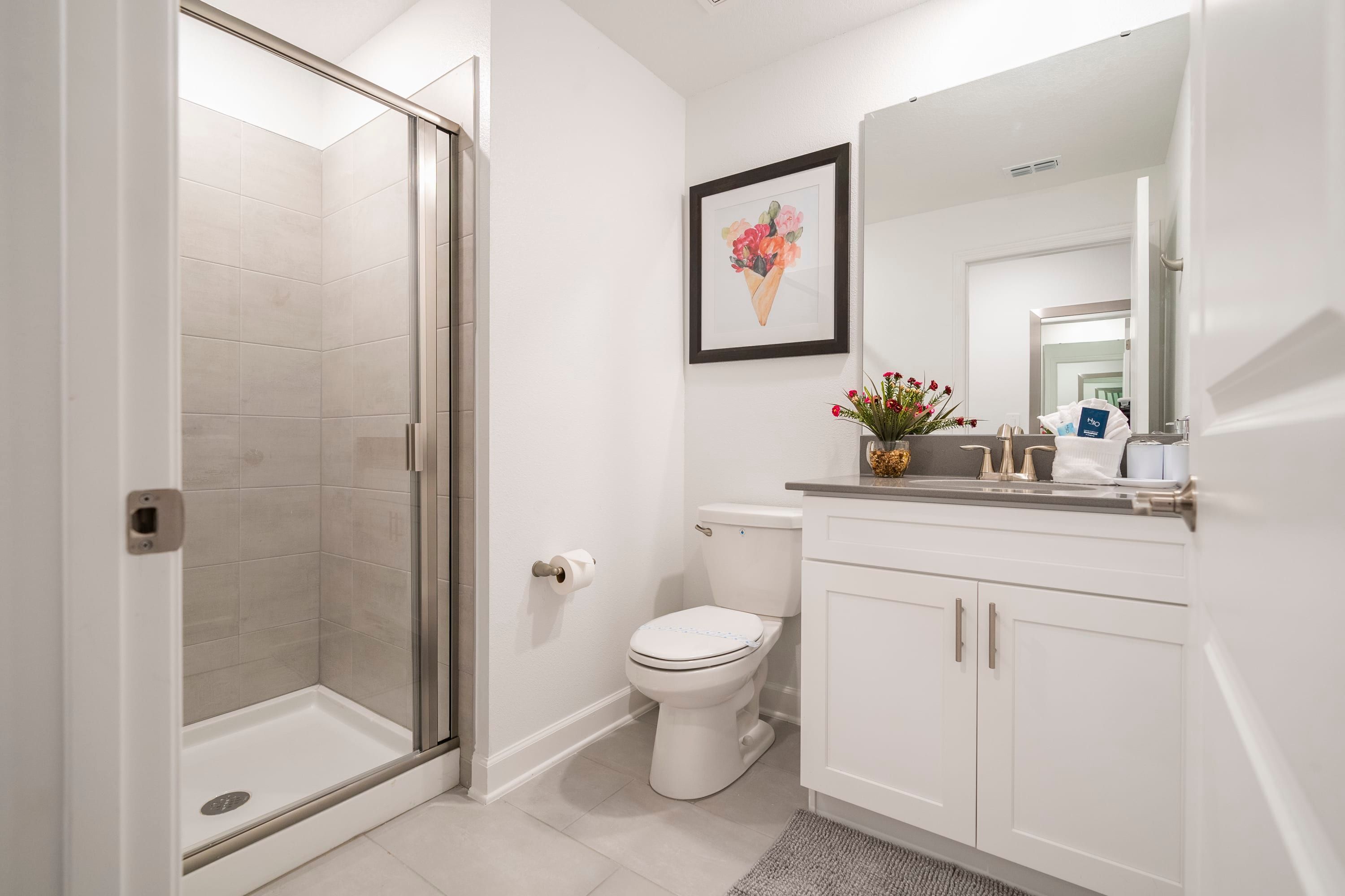 A modern bathroom with a glass shower enclosure, a toilet, and a vanity with a mirror.
