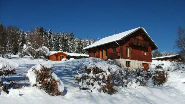 A wooden cabin with a snow-covered roof, surrounded by snow-covered trees and bushes.