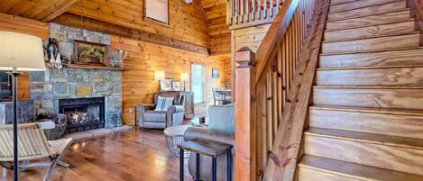 TV connectée, cheminée, lecteur de DVD, livres