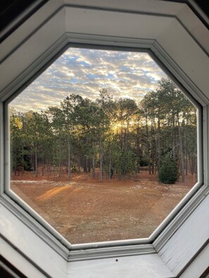 A view through a window with a hexagonal frame, displaying a forested area with trees and a dirt path. - Spacious 6-bedroom country house in lovely Ellerbe on 55 private acres of forest (Ellerbe)