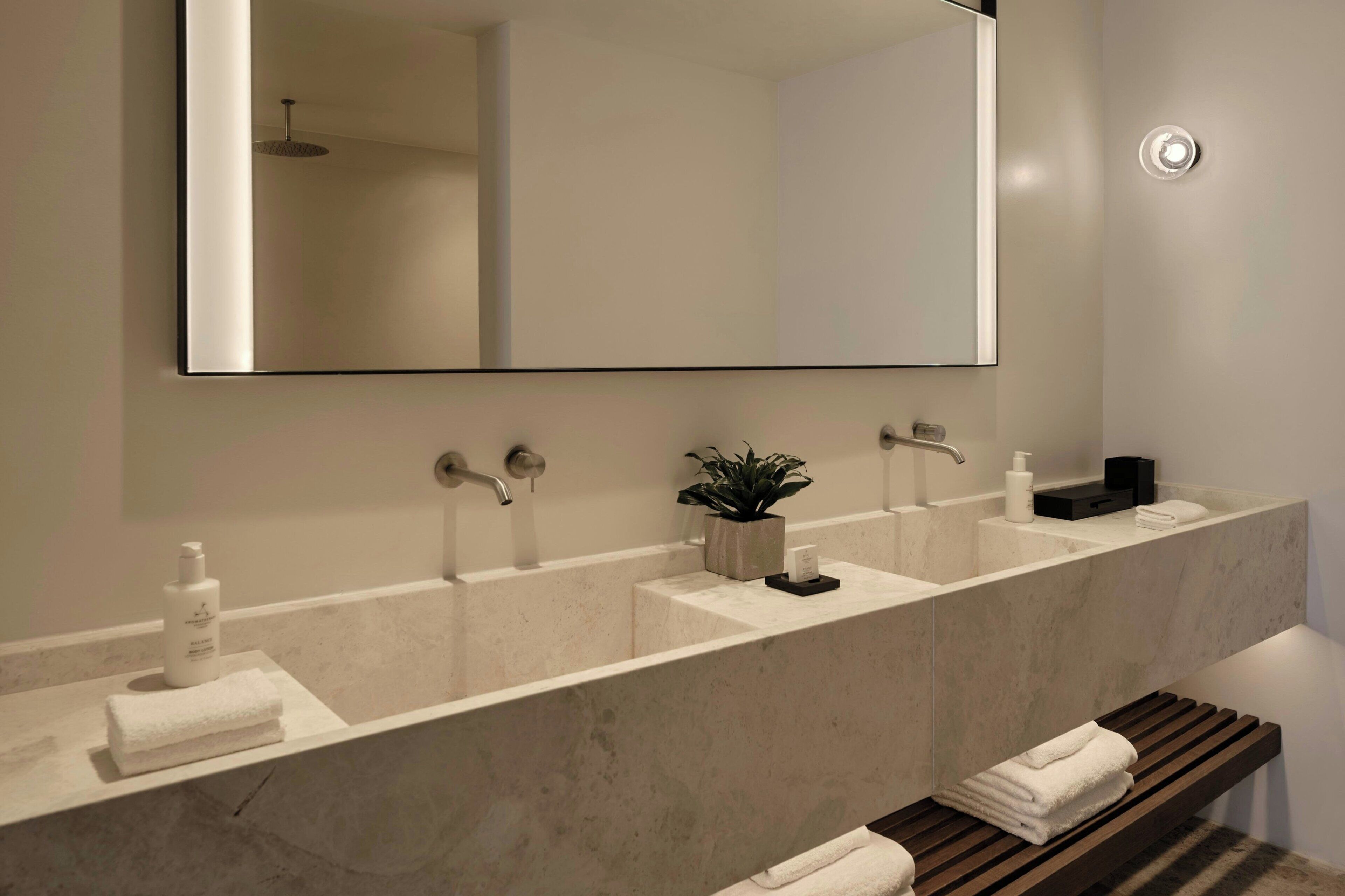 Een moderne badkamer met een grote spiegel, twee wasbakken, een handdoekhouder en een kleine plant.