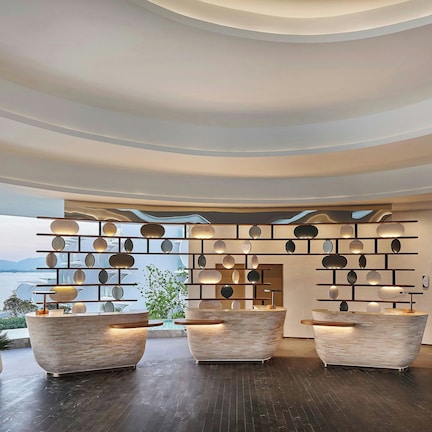 A modern reception area with a curved ceiling, a reception desk, and potted plants.