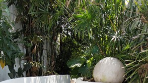 A garden pathway with a white curved bench and a large rock planter.